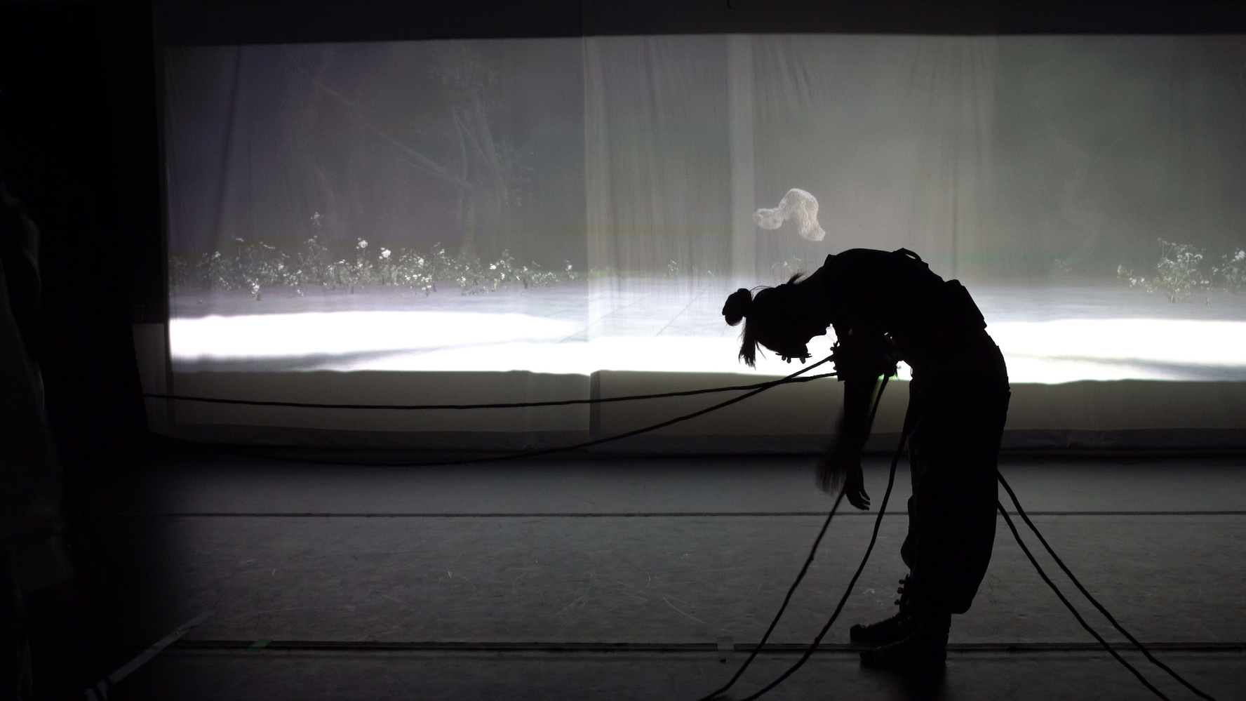 Silhouette of a person bending forward with ropes attached, in front of a lit backdrop showing faint floral imagery.
