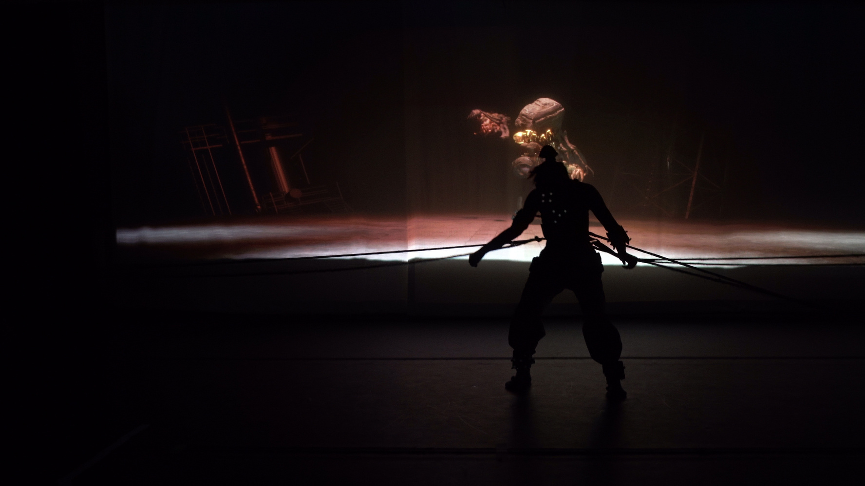 Silhouette of a person with harness and ropes against a dimly lit backdrop showing abstract shapes.